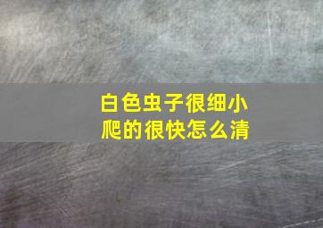 白色虫子很细小 爬的很快怎么清